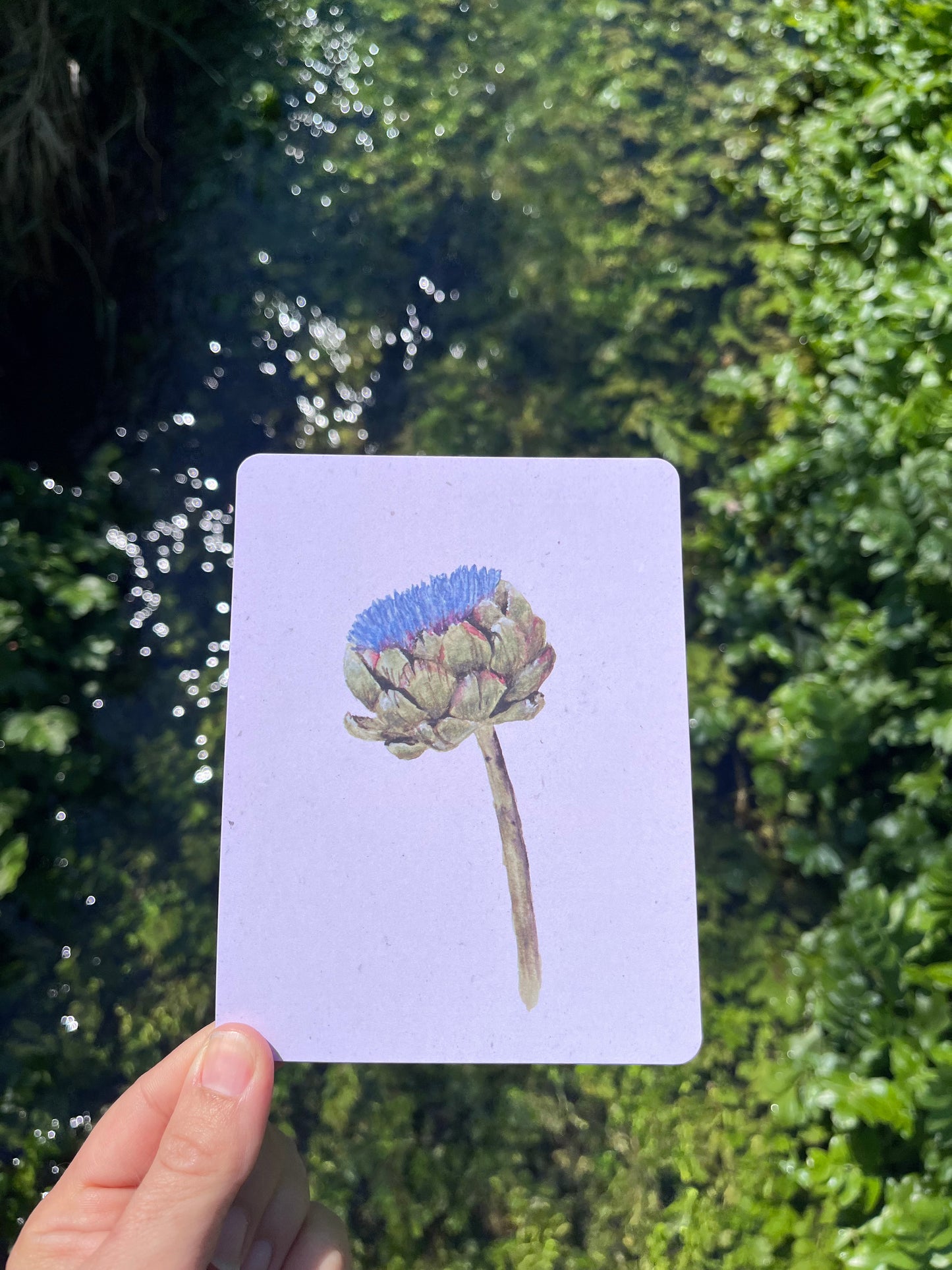 Kartenset "Florals"