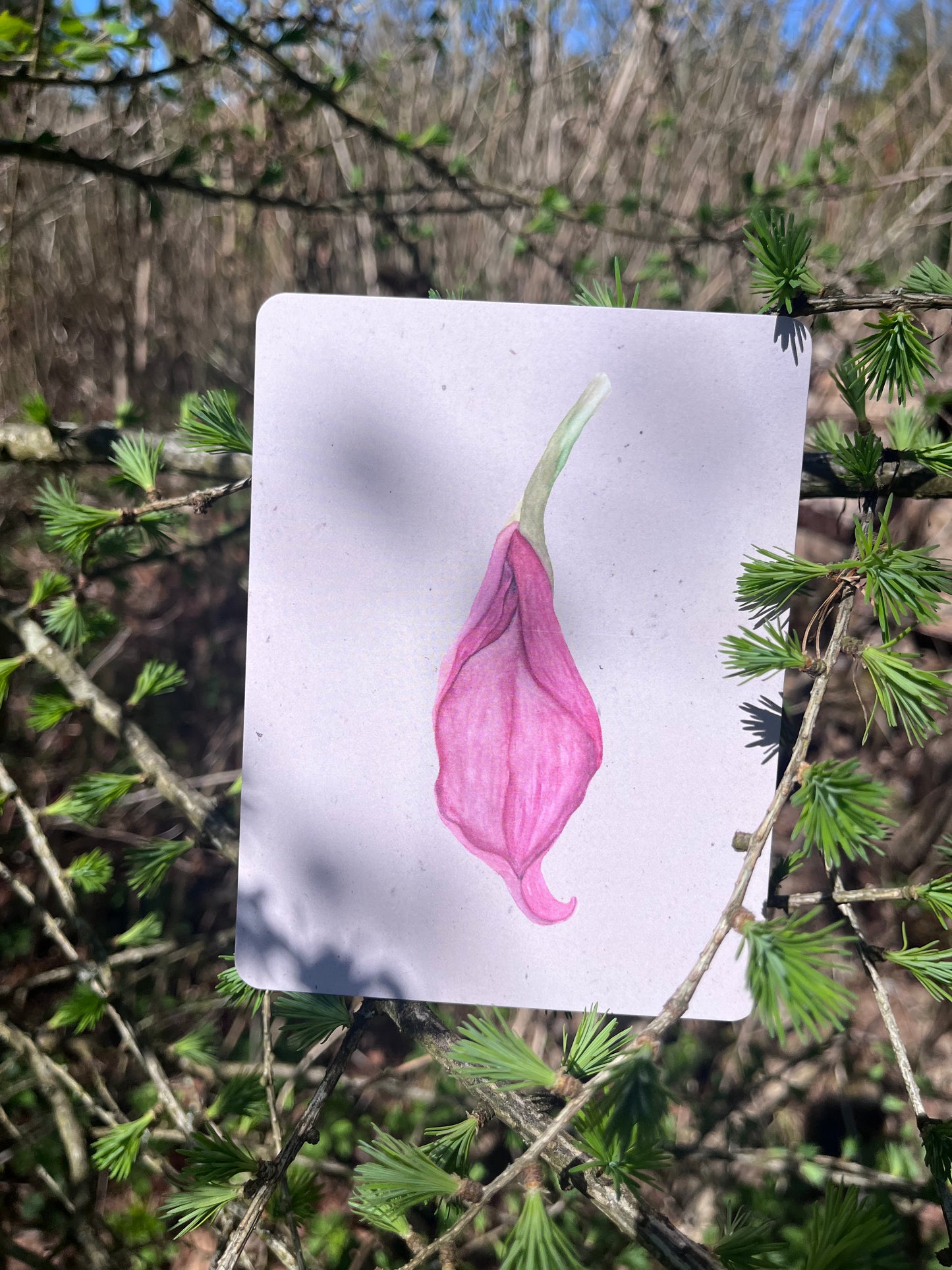 Kartenset "Florals"